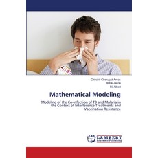(영문도서) Mathematical Modeling Paperback, LAP Lambert Academic Publis..., English, 9786207843220