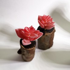 仿真植物 樹樁擺件, P55仿真多肉+木頭底座(隨機), 1套