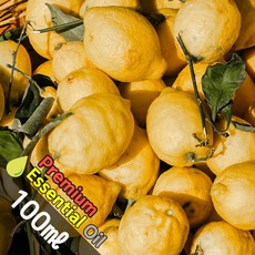 J025 버가못 100ml (Bergamot Essential Oil) 천연에센셜 오일 원액 아로마, 1개