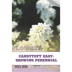 (영문도서) Candytuft Easy-Growing Perennial: Become flowers expert Paperback, Independently Published, English, 9798882113888