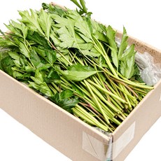 국내산 특품 당귀잎 반박스 500g 쌈채소 쌈야채 모듬쌈 가락시장 당일새벽경매