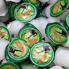 메가벅스 곤충 젤리 20p, 유산젤리20p, 1개