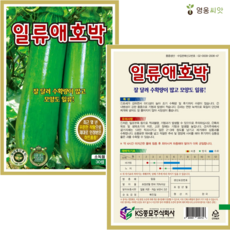 일류애호박 씨앗 (30립) 종묘 종자 애호박 호박 씨 영웅 KS, 1개