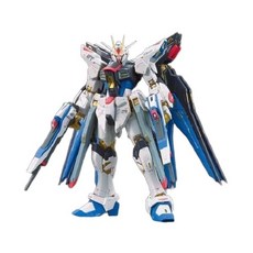 Bandai RG 14 1/144 스트라이크 프리덤 건담 프라모델, B.RG14어썰트프리덤+대진표