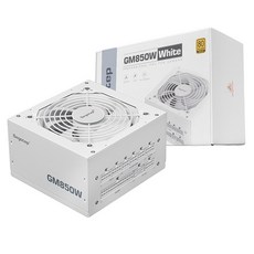 세고텝 GM850W 80PLUS 골드 풀모듈러 ATX 3.1 화이트 PC 파워 서플라이, 파워서플라이
