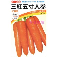 【野菜部屋~】三紅五寸人參種子 中包裝 耐暑性佳 耐病 品質穩定, 1包