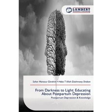 (영문도서)From Darkness to Light: Educating About Postpartum Depression Paperback, LAP Lambert Academic Publis..., English, 9786209159046