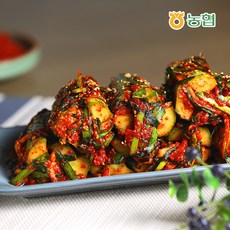 [선도농협] 아산맑은 오이김치 1kg, 1개