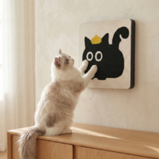 헤임스 고밀도 먼지적은 고양이 스크래쳐 + 전용 스티커 세트, 1개, 타입 A