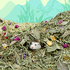 햄스터꽃 자연주의풀 자연베딩 믹스, 과일나무와 꽃, 1개