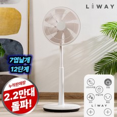 리웨이 BLDC 무소음 스탠드형 리모컨 선풍기, 사일런스 리빙형 BLDC 리모컨 선풍기