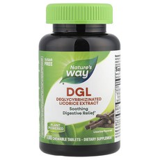 Nature's Way DGL 글리시리진이 제거된 감초 추출물 츄어블 100정, NaturesWayDGL글리시리진이제거된감초추출물츄어블, 1개