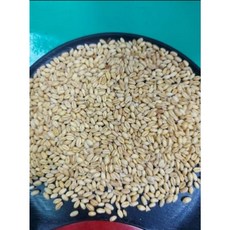 金協和【嚴選精品】小麥白小麥生麥粒 養生食品 養身食品, 600g, 1個