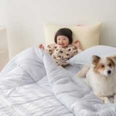 루체트리 침구 클라우드 알러지케어 마이크로워싱 3color 단품 및 세트 이불 커버