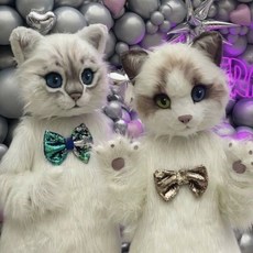 網紅卡通人偶服裝大頭緬因貓野兔熊情侶表演全套道具演出吉祥物, 1個, 緬因貓女款,165-175cm