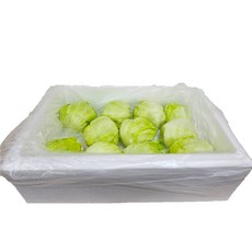 Green one 양상추 샐러드용 3kg(스티로폼박스), 3kg, 1박스