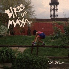 Birds of Maya Artist Vinyl 비닐 LP 레코드 Valdez 미국 발송