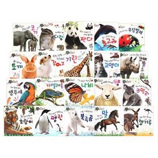 국내백화점 세이펜 지구별 자연동화(20권) / 호환책 돌 선물