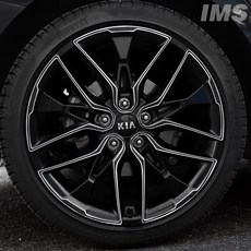 [비브랜드] 피그파인더 19인치 휠마스크 기스 스크래치커버 흠집방지 시트지 튜닝 몰딩 DIY 바퀴 스티커 용품 K5DL3 호환, A타입, K5DL319인치