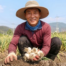 [팜씨농부] 산지직송 의성 안동 토종 마늘 경북산 쪽마늘 벌마늘, 1박스, 2kg