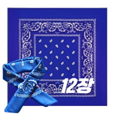 온리 등산 단체 손수건 반다나 페이즐리 기념품 행사 체육대회 스포츠 퍼플 색깔 스카프