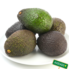 [최상급]페루산 아보카도, 1박스, 아보카도(중대과) 5개