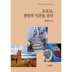 모로코 천년의 시간을 걷다 : 모로코의 겨울 그리고 여름 이야기, 시와문화, 황성자 저