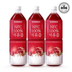 참앤들황토농원 NFC 착즙원액 석류즙, 1L, 3개