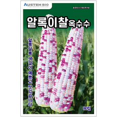 [주주씨앗] 알록이찰옥수수 씨앗 80립 얼룩찰옥수수 씨앗 다수확 통큰 옥수수, 1개 1개