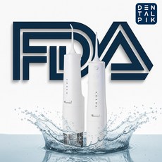 덴탈픽 휴대용 구강 세정기 DP-1900K PLUS, LB439