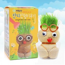 (1+1특가상품)못난이 잔디인형 키우기 (1p) 식물키우기 식물재배키트, 1개