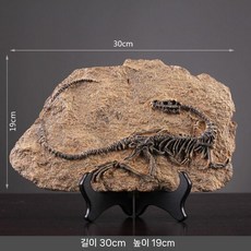 공룡 화석 모형 장난감 뼈 티라노사우루스 장식 공룡화석 화석모형 소품, B. 기본