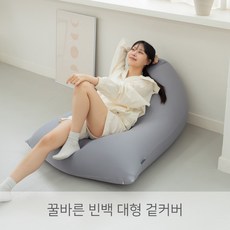 (커버만) 꿀바른빈백 대형 겉커버, 다이노그린