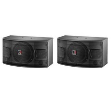 AudioKing FK-310 10吋兩音路懸吊喇叭