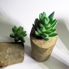 仿真多肉植物盆栽, P25仿真多肉+木頭底座(隨機), 1套