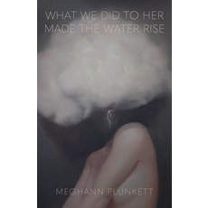 (영문도서) What We Did to Her Made the Water Rise Paperback, Black Lawrence Press, English, 9781625571649