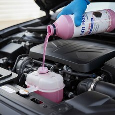 (희석 불필요) 사계절 자동차 냉각수 교체 부동액 보충 엔진 에틸렌글리콜, 1개, 1L