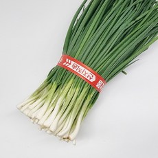 당일수확 봄나루 깐 쪽파 손질쪽파 쪽파, 1개, 1kg