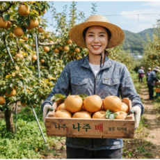 [200개 초특가] 고당도 신고배 가정용 햇 배, 1개, 2.8kg(산지직송 세이프추천 BEST 4-8과)