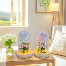 아란플라워 직접 만드는 DIY 장미 무드등 유리돔 LED 조명 키트 핸드메이드 인테리어 소품, 핑크로즈키트