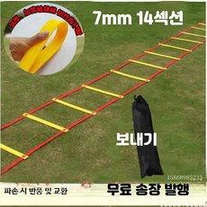 축구 민첩성 훈련 로프 사다리 체력 점프 훈련용, 1개, N_8m16섹션가방포함