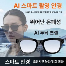 리펑 AI 번역 스마트 안경, 1개, 블랙-선글라스, 기본 색상