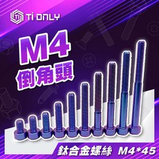 【TiONLY】鈦鴻利 正鈦螺絲 M4*45, 1個