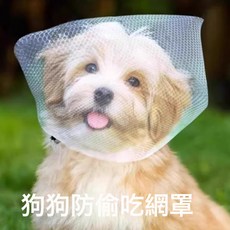 中小型寵物狗狗防誤食亂吃網紗頭套嘴罩透氣防舔遛狗神器外出面罩, 1個, 小狗抽繩平口袋款:防偷吃麪罩