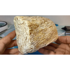 나무화석 규화목 암석표본 천연원석 관찰교육용 SSB-677, 1개