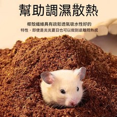 【熱銷 臺灣出貨】倉鼠椰土 乾椰土 倉鼠墊料 倉鼠墊材 倉鼠用具 倉鼠造景 爬蟲墊材 透氣 除濕 散熱, 1個, 倉鼠專用/椰土500g