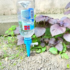 자동급수기 식물 화분