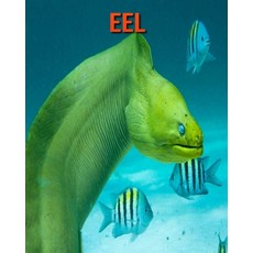 Eel: Fun Facts & Cool Pictures Paperback, Independently Published, English, 9798564400961