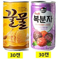 웅진꿀물캔 + 참맑은복분자캔, 60개, 175ml