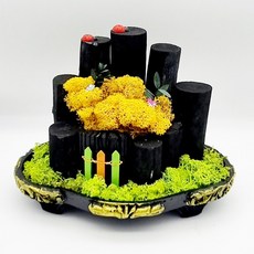 스칸디아모스 숯분재 한반도농원 C47-1. 삼각타원 비장탄 공기정화 습도조절 제습효과 프리저브드, 1개